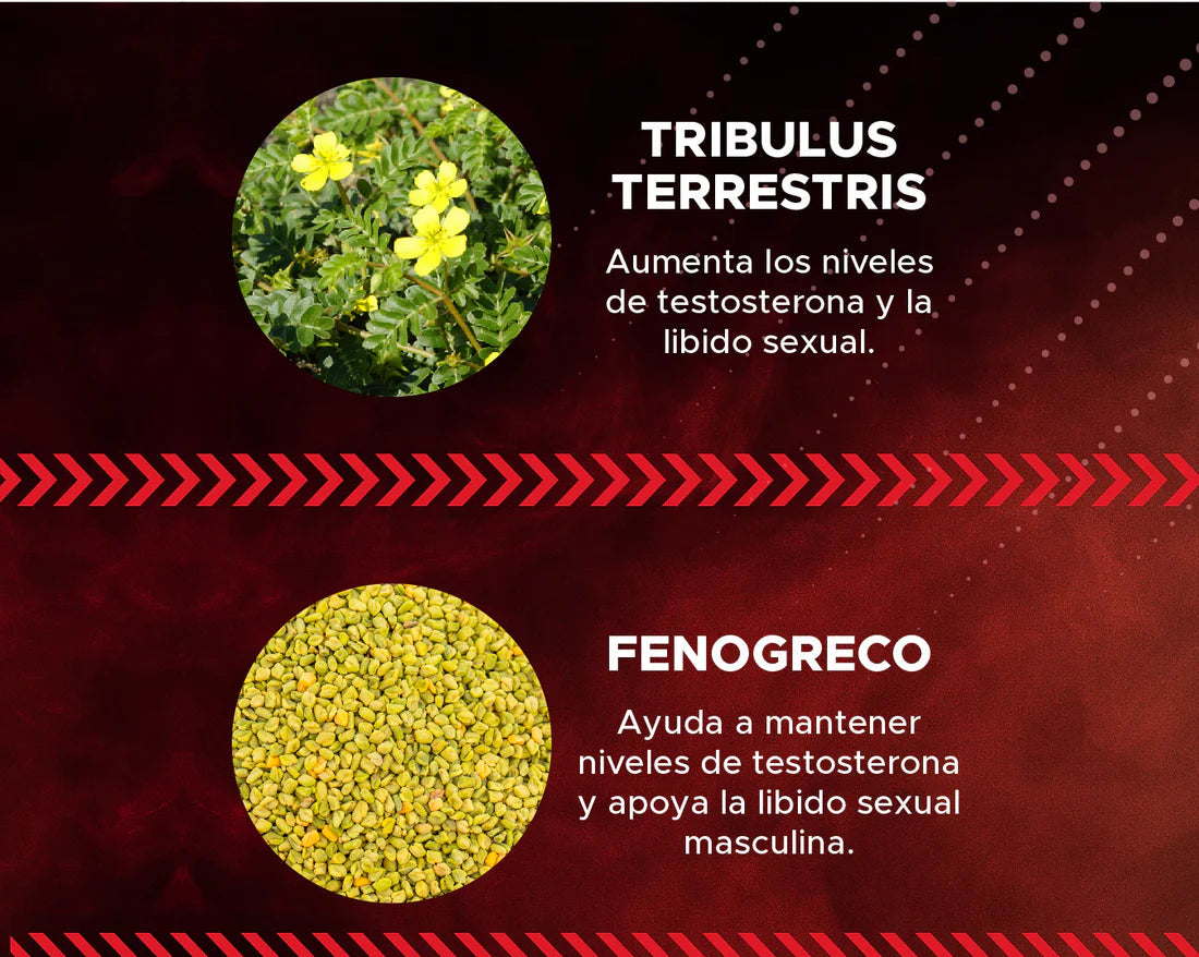 TestoMax Ultra